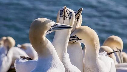 开云体育官方网-大众娱乐彩票app下载：开启幸运之门，畅享精彩人生